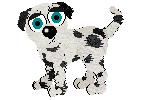 Pointing Dalmatian
