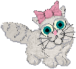 chin_bow03.gif (3491 bytes)